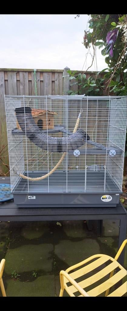 Ruime rattenkooi / knaagdierenkooi compleet – €75, Ophalen, Zo goed als nieuw, Metaal, Vogelkooi