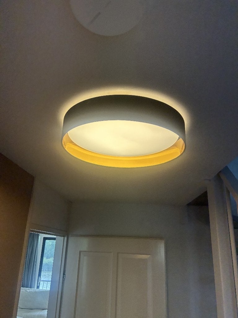 Westwing LED Plafondlamp Mallory Zwart/Goud – Nieuwprijs €89, Ophalen, Zo goed als nieuw