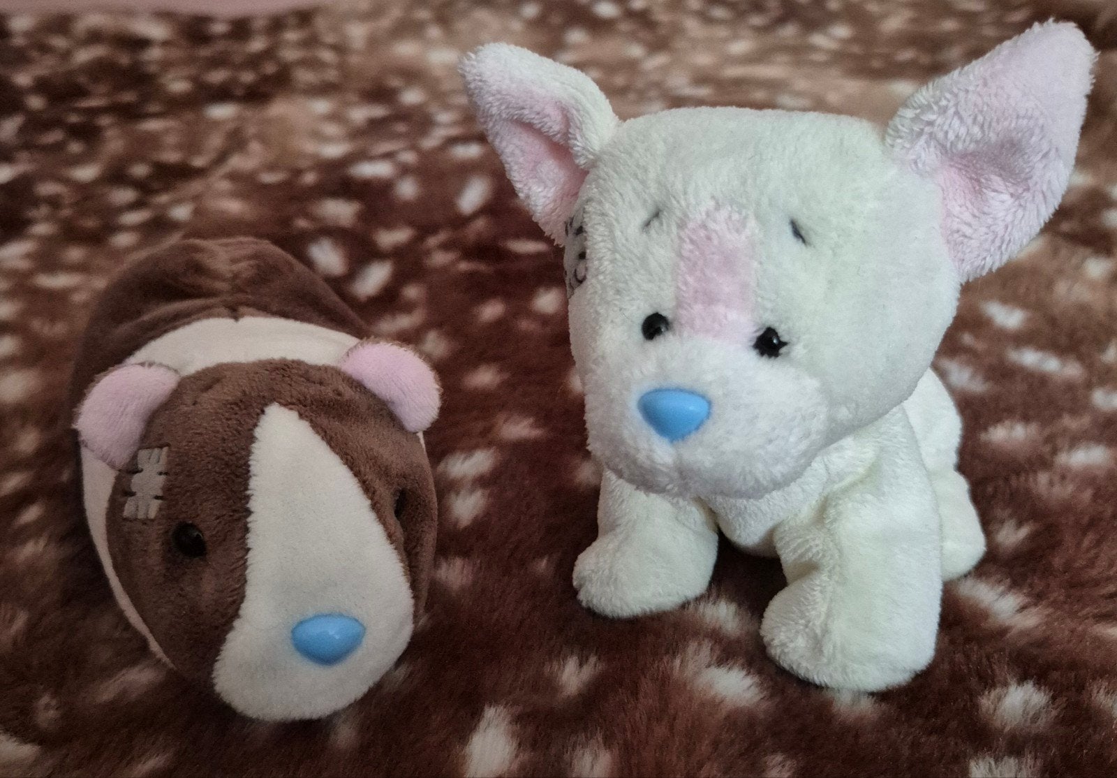 blue nose friends knuffels cavia + chihuahua hondje ZGAN!, Overige merken, Overige karakters, Korrelvulling, Zo goed als nieuw