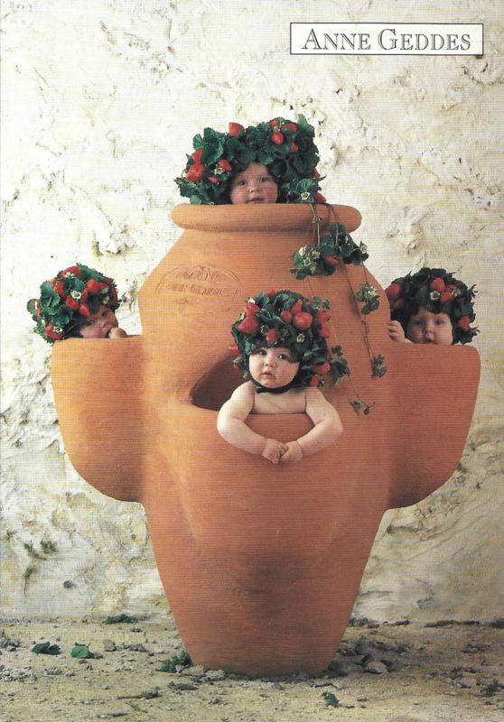 Anne Geddes kaart nr. A231: Aardbeien Bloempot, Verzenden, 1980 tot heden, Ongelopen, Kinderen
