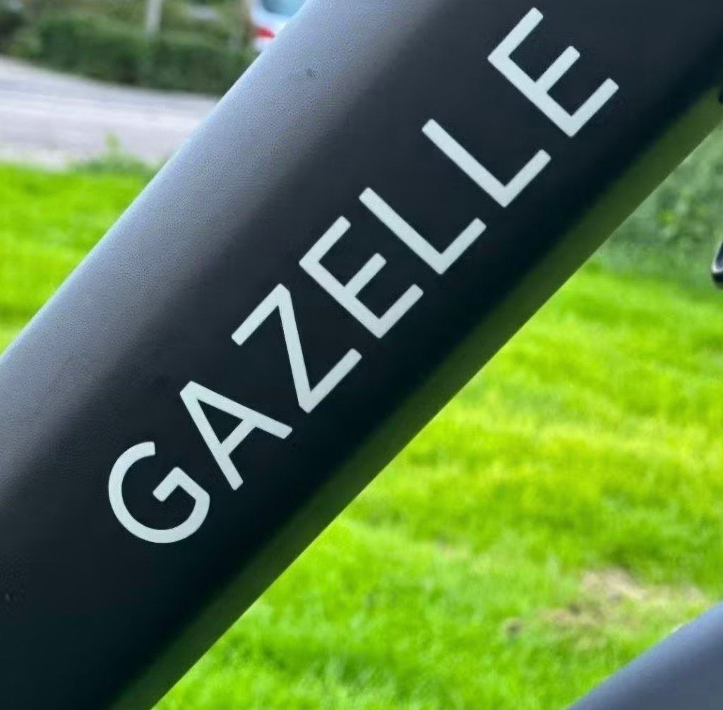 Prachtige Gazelle Bloom Mamafiets,  53cm/ 28", Fietsen en Brommers, Ophalen, Dubbele standaard, Zo goed als nieuw, 50 tot 53 cm