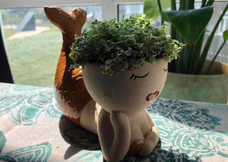 Mica bloempot zeemeermin mermaid zgan bruin, Binnen, Ophalen of Verzenden, Zo goed als nieuw, Overige vormen