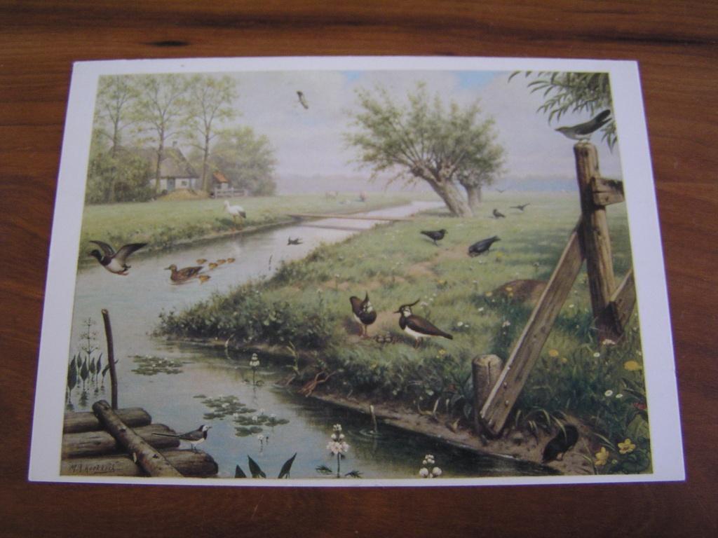 Ansicht Koekkoek "In de weide" gelopen, Ophalen of Verzenden, 1940 tot 1960, Gelopen
