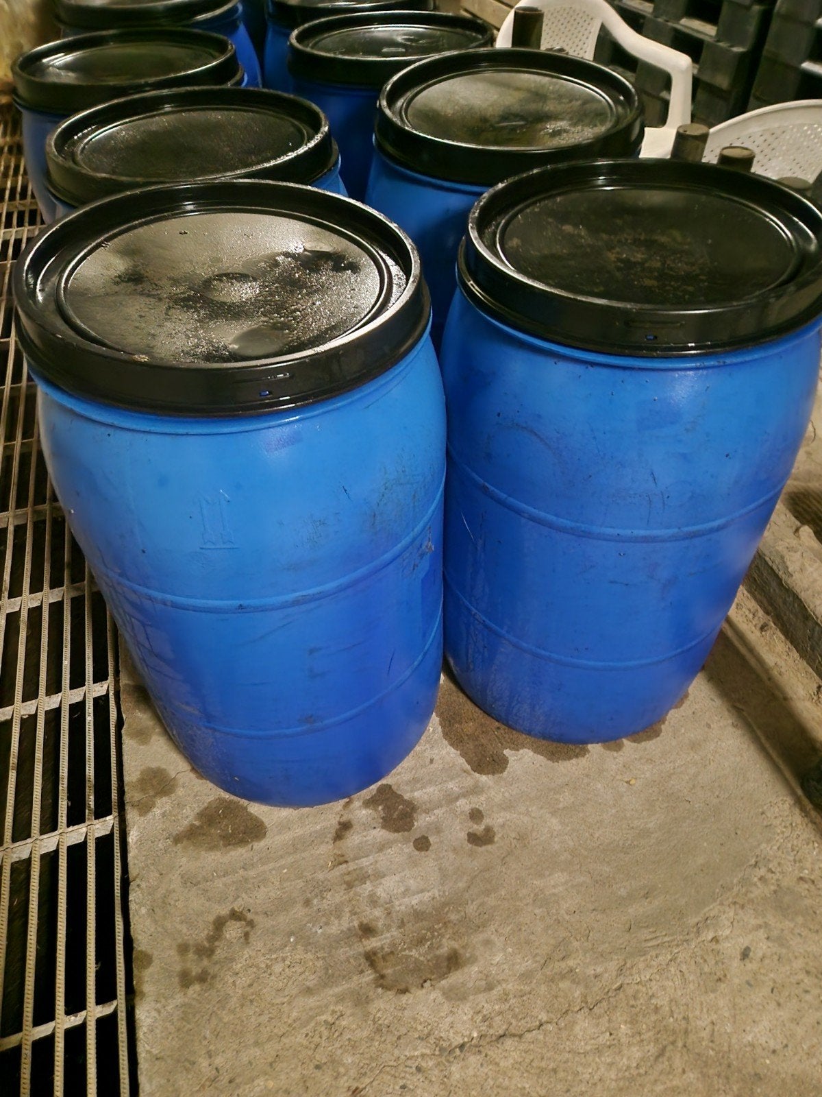 Blauwe (regen)tonnen, Tuin en Terras, Regentonnen, 150 liter of meer, Ophalen, Zo goed als nieuw, Kunststof