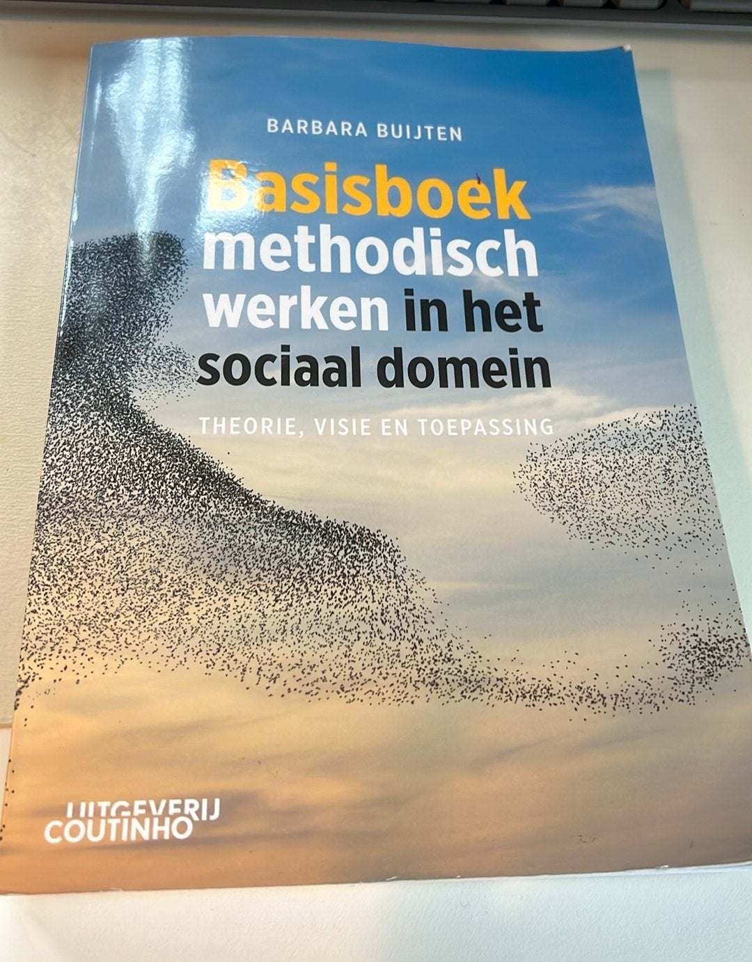 Basisboek methodisch werken in het sociaal domein, Zo goed als nieuw, Beta, Barbara Buijten, HBO