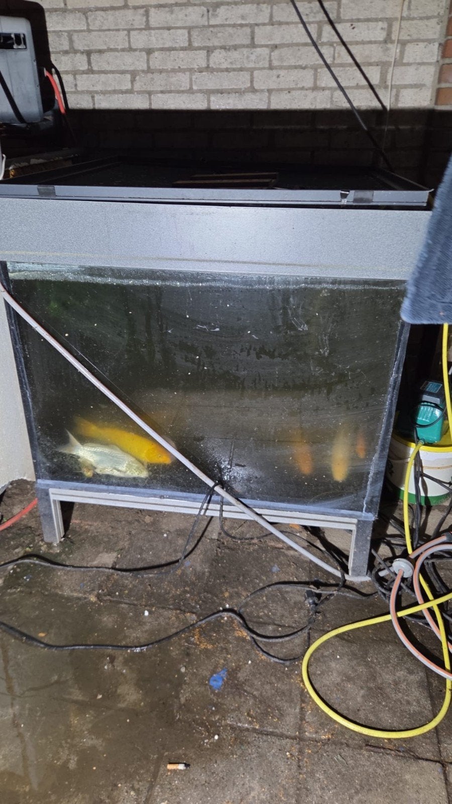 quarantaine bak met vissen, Ophalen, Zo goed als nieuw, Leeg aquarium