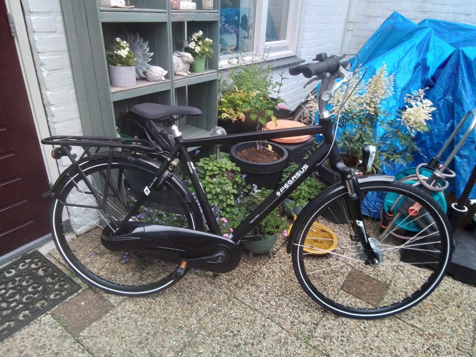 Pegasus, 57 tot 61 cm, Ophalen, Gebruikt, Overige merken