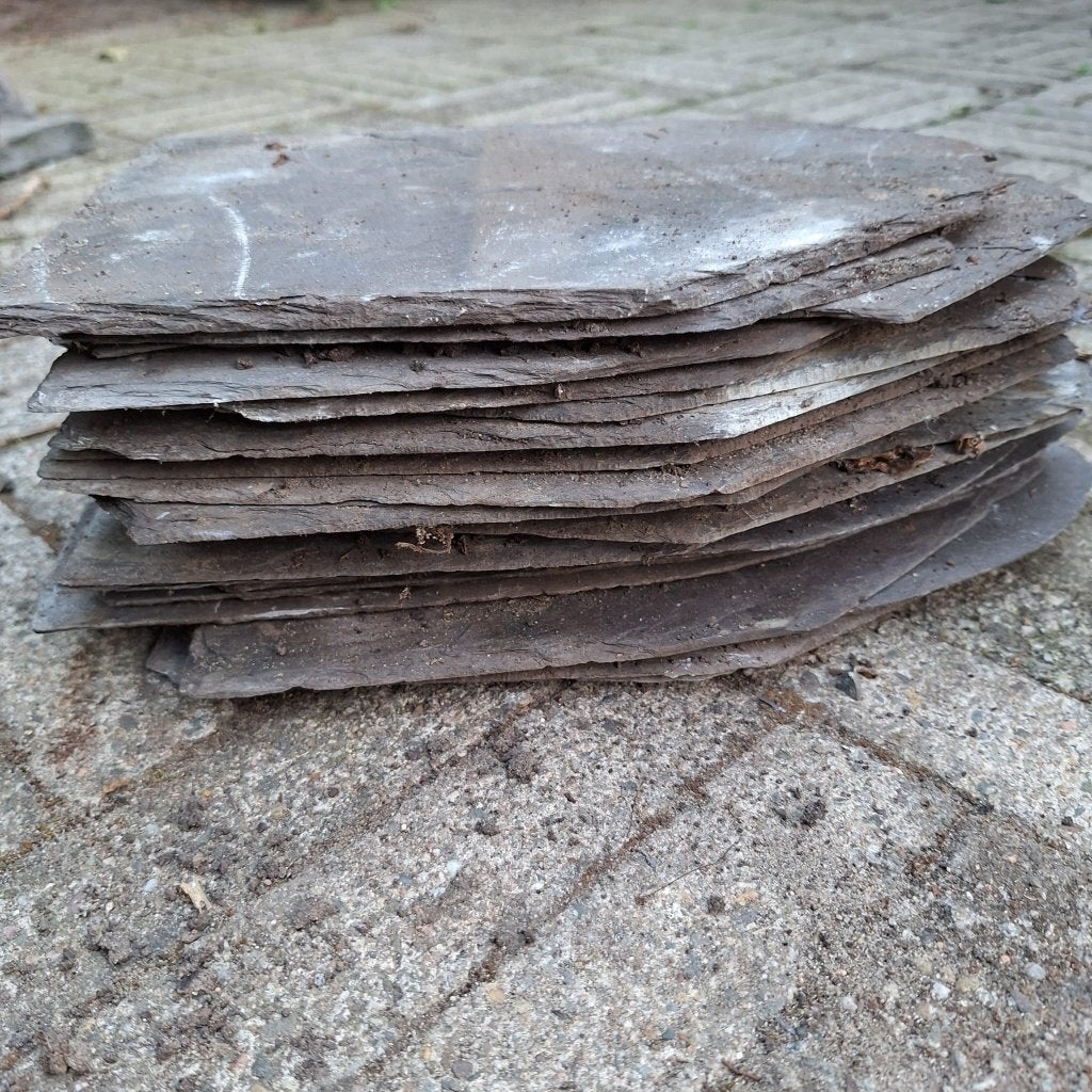 leisteen dakpannen, Ophalen, Overige materialen, Gebruikt, Overige kleuren