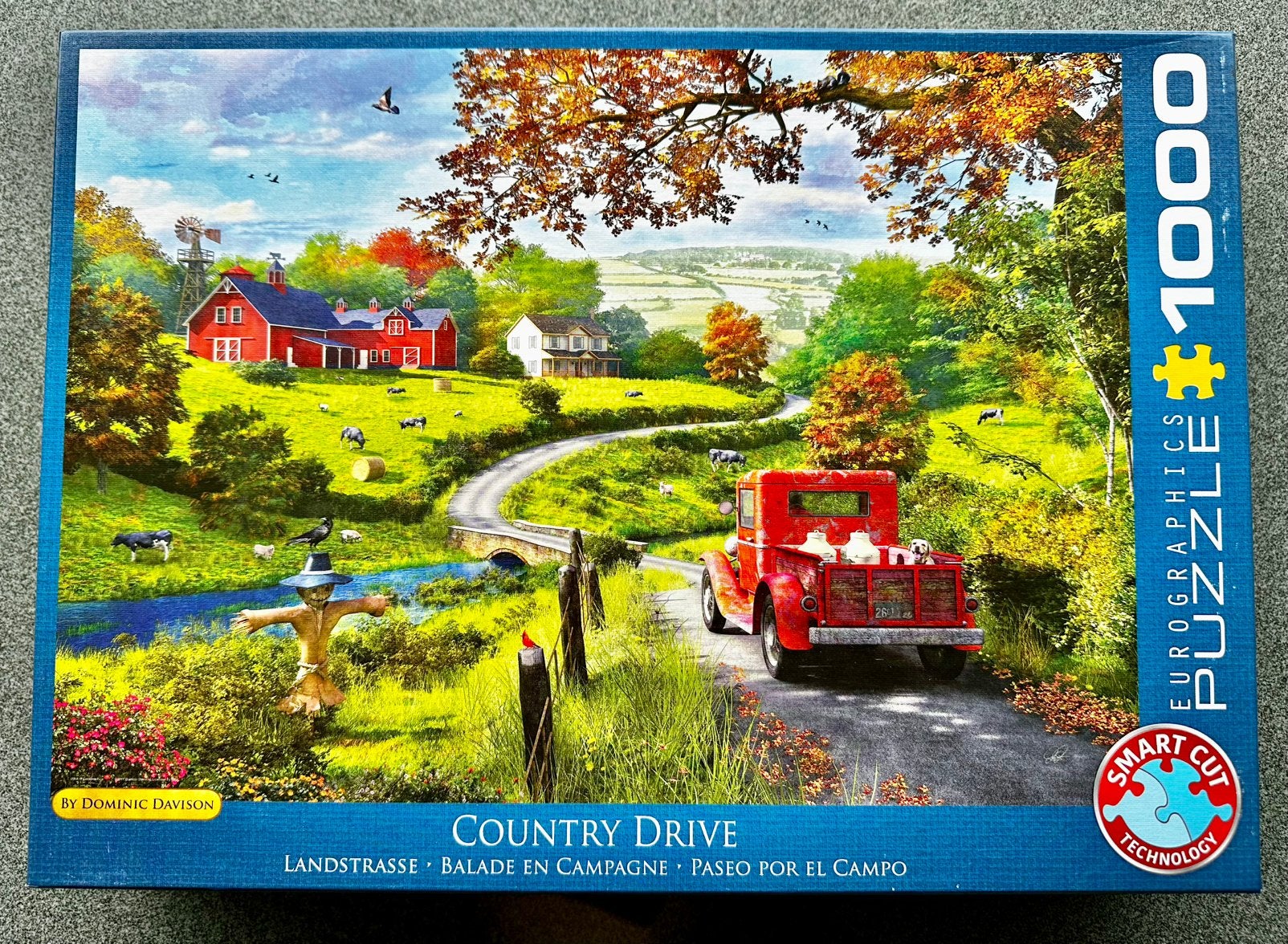 Eurographics puzzel met 1000 bijzondere stukjes., Ophalen, 500 t/m 1500 stukjes, Zo goed als nieuw, Legpuzzel