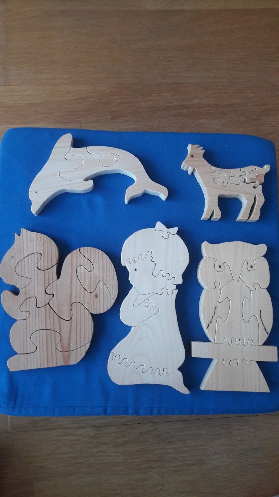5 Houten  puzzels., Ophalen of Verzenden, 1:50 of kleiner