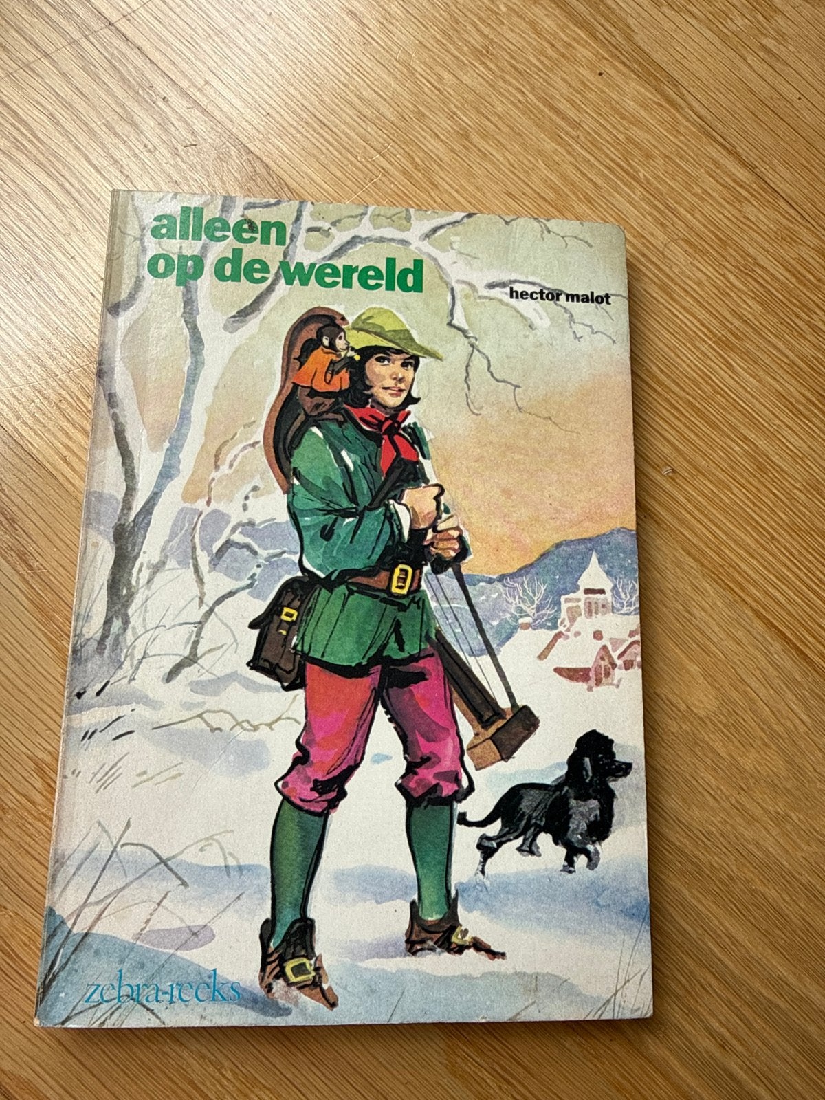 Alleen op de wereld - Hector Malot (Zebrareeks), Ophalen of Verzenden, Gelezen, Fictie