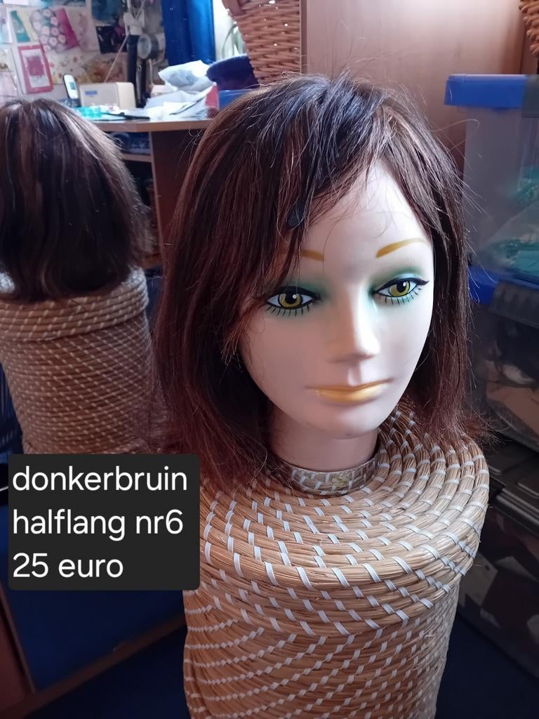 Pruik Toneel, Feestje enz, Ophalen of Verzenden, Nieuw, Pruik of Haarverlenging