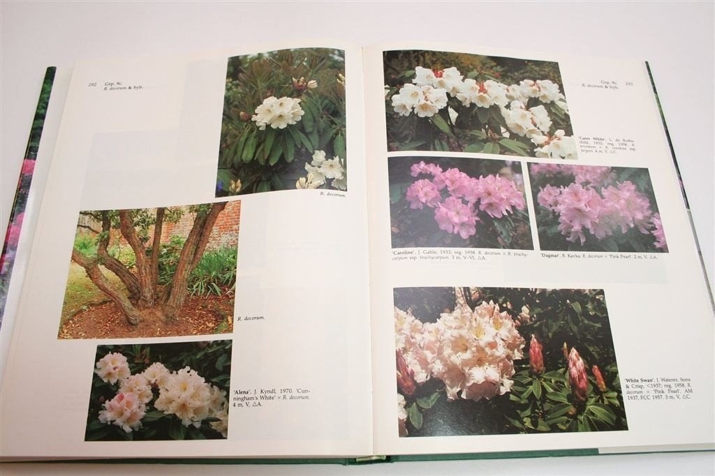 Rhododendron Atlas — Naslagwerk met meer dan 1000 Foto\'s, Ophalen of Verzenden, Zo goed als nieuw, Interieur en Design