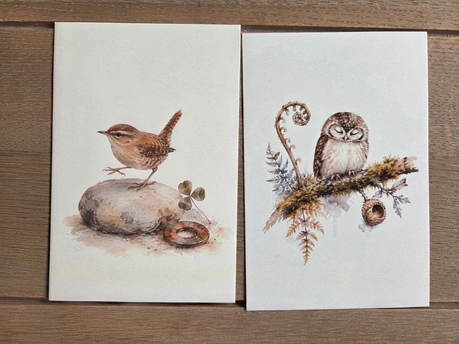 VOGELS 2, Ophalen, Vogel