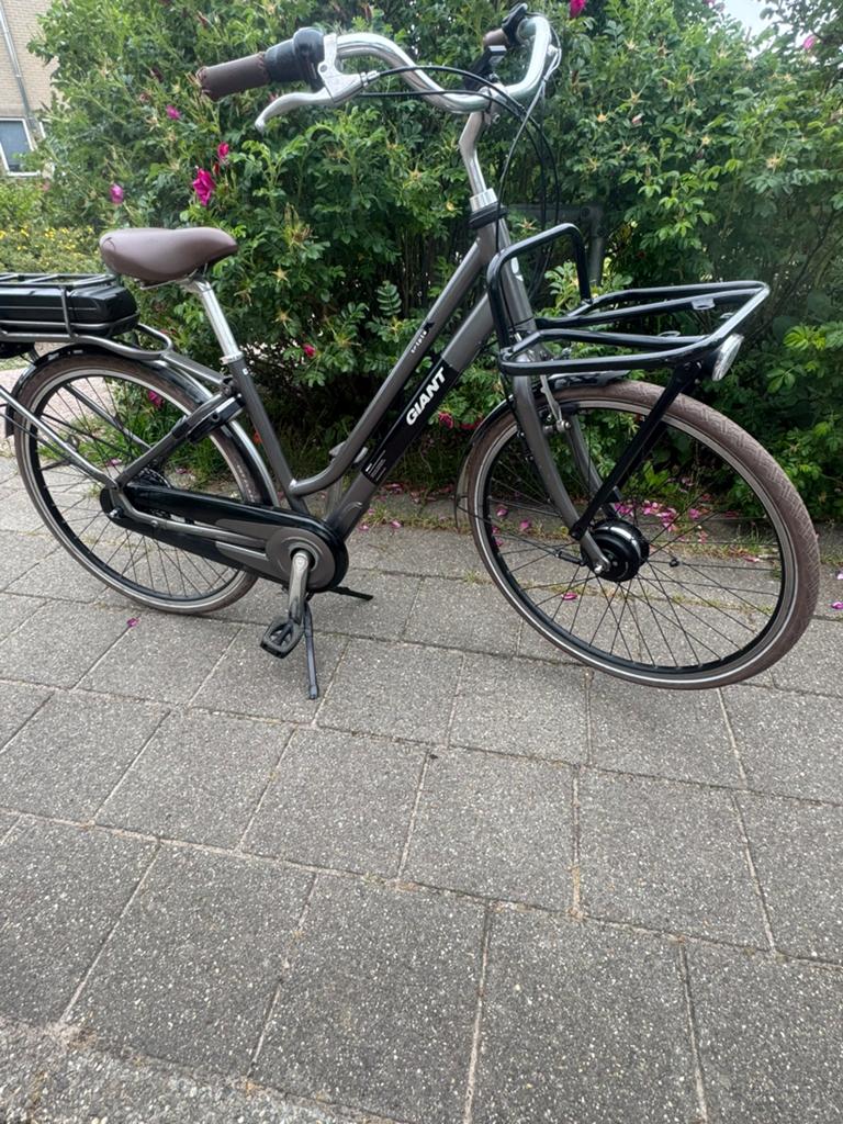 Elektrisch fiets giant triple x, Fietsen en Brommers, Elektrische fietsen, Ophalen of Verzenden, Zo goed als nieuw