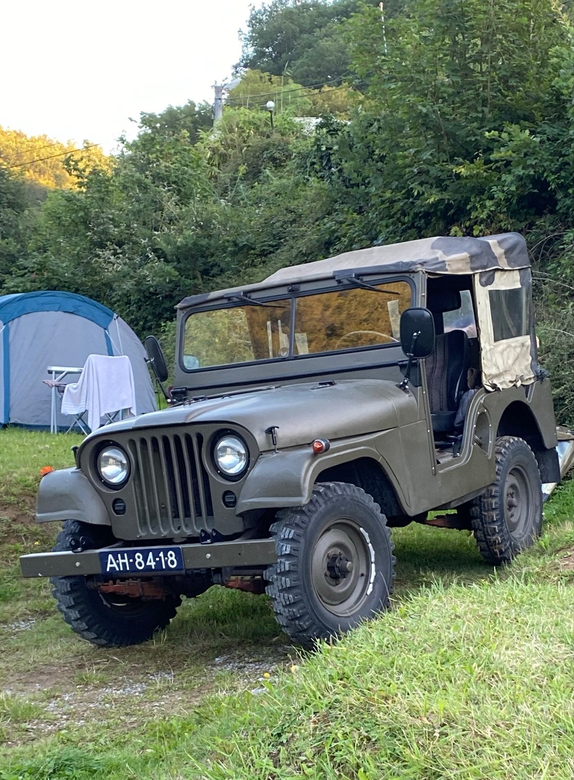 Jeep Willys 1955 Groen, 1240 kg, Particulier, Groen, Te koop