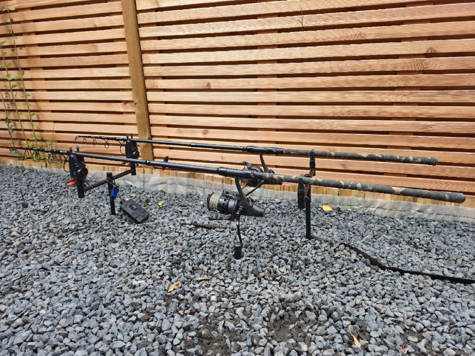 Volledig karperset!, Ophalen, Gebruikt, Complete set