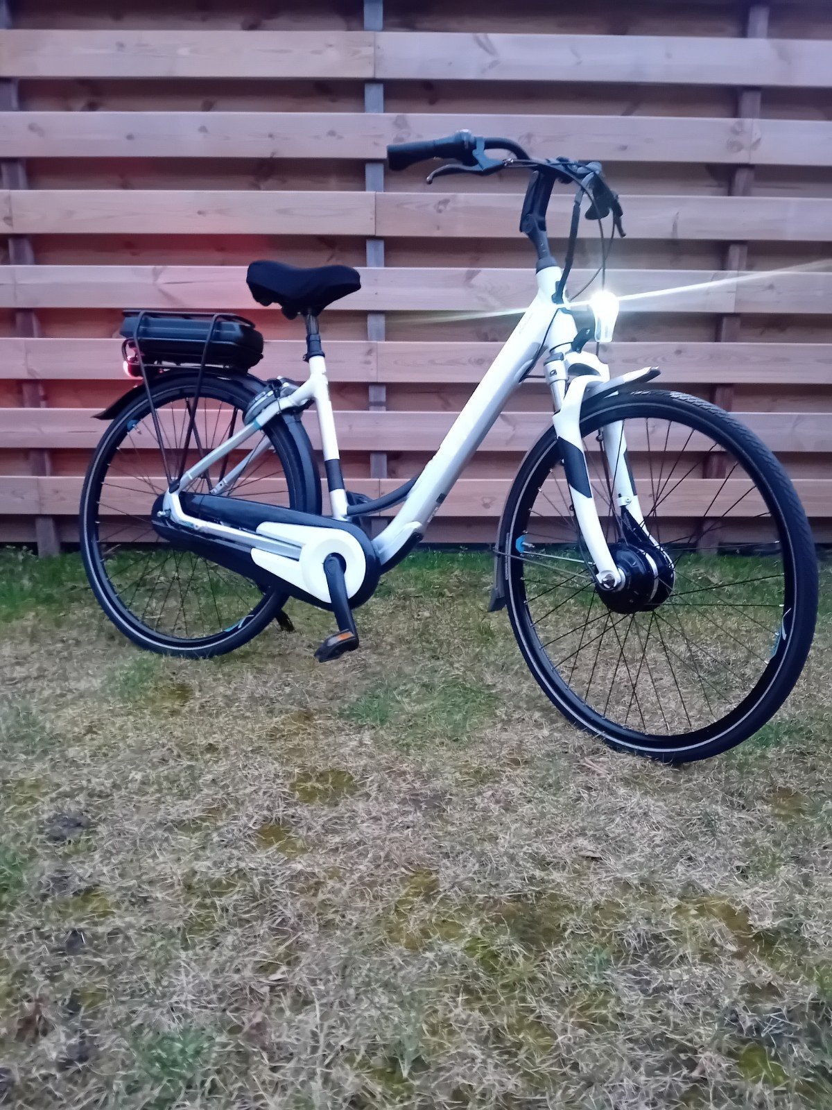 Giant Ease E - Bike technisch 100% fietsklaar, Ophalen, Gebruikt, Giant