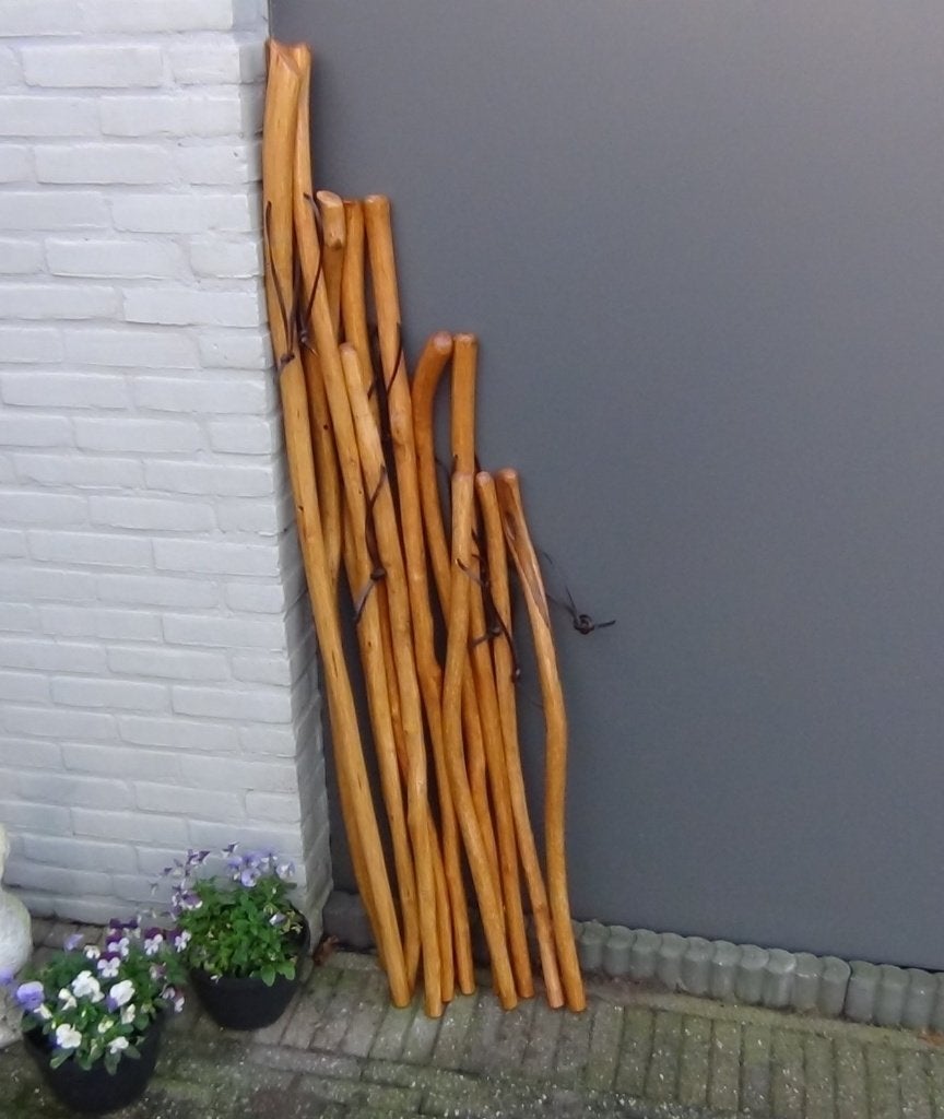 Wandelstok Steunstok Herdersstok Wandelen Wandelroute Kado, Diversen, Wandelstokken, Ophalen, Verstelbaar, Zo goed als nieuw