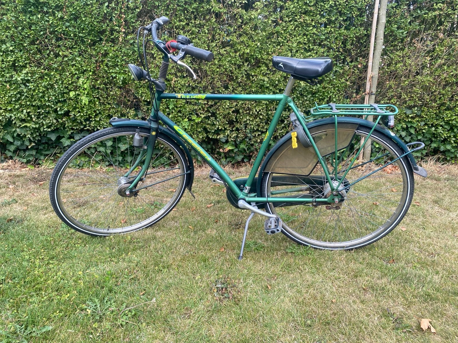 Groene Gazelle stadsfiets - Gebruikt, maar functioneel, Ophalen, Terugtraprem, Gazelle, 53 tot 56 cm
