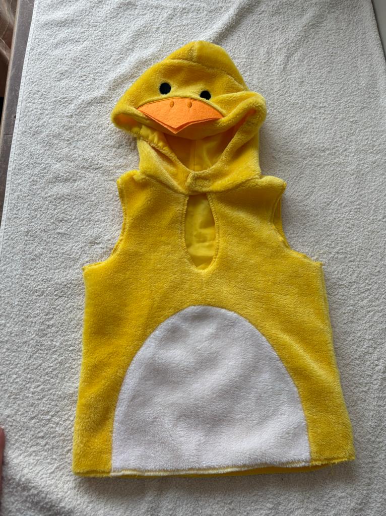 Leuk eend kostuum voor kinderen (3-6 jaar), Ophalen, Zo goed als nieuw, 104 of kleiner, Jongen of Meisje