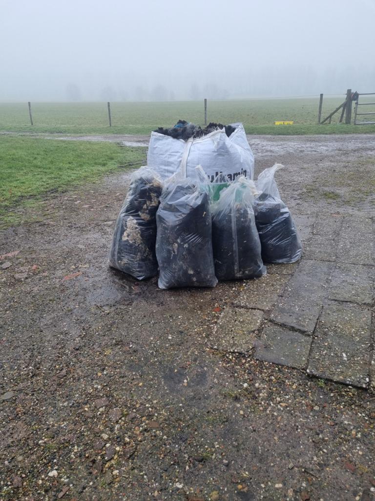 15 vachten schone dassenkop wol, Vrouwelijk, Schaap