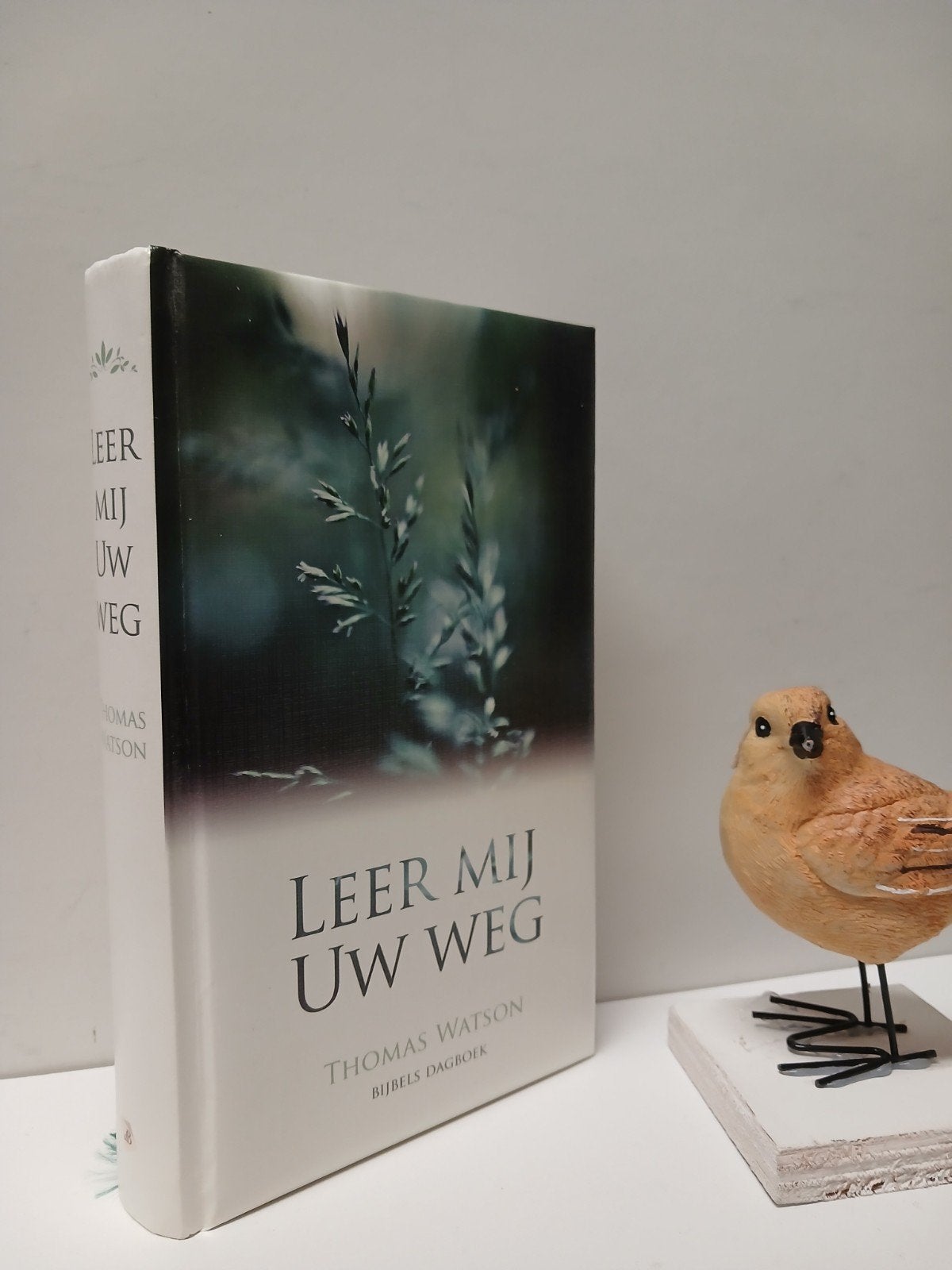Watson, Thomas; Leer mij Uw weg (Bijbels dagboek), Boeken, Godsdienst en Theologie, Ophalen of Verzenden, Gelezen, Christendom | Protestants
