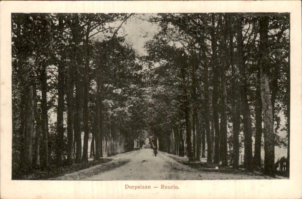 Ruurlo - Dorpslaan - laan met bomen, Ophalen of Verzenden, 1920 tot 1940, Gelopen, Gelderland