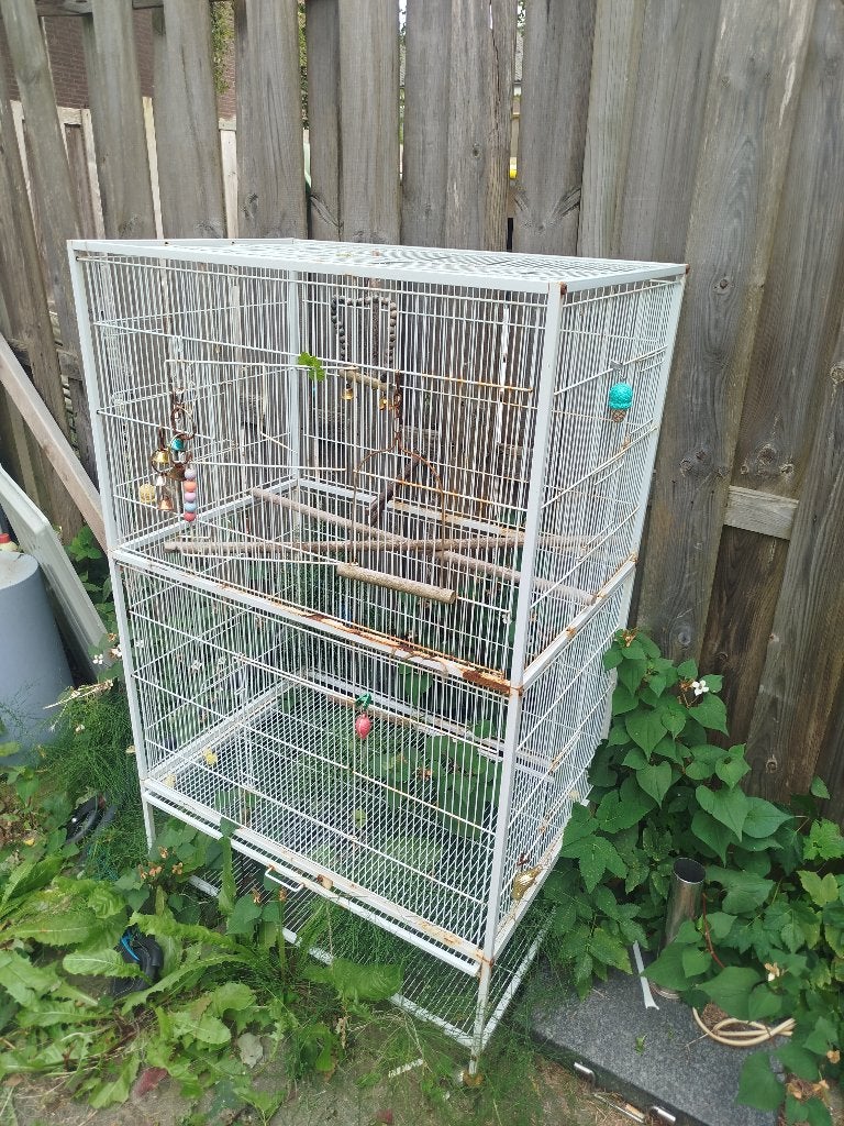 Kooi, Dieren en Toebehoren, Ophalen, Zo goed als nieuw, Metaal, Vogelkooi