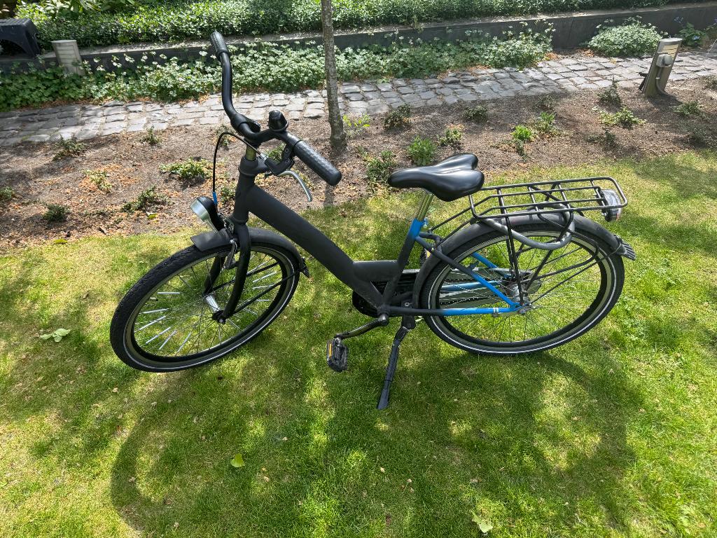 Alpina fiets, Fietsen en Brommers, Ophalen, Terugtraprem, Alpina Girlpower, Handrem