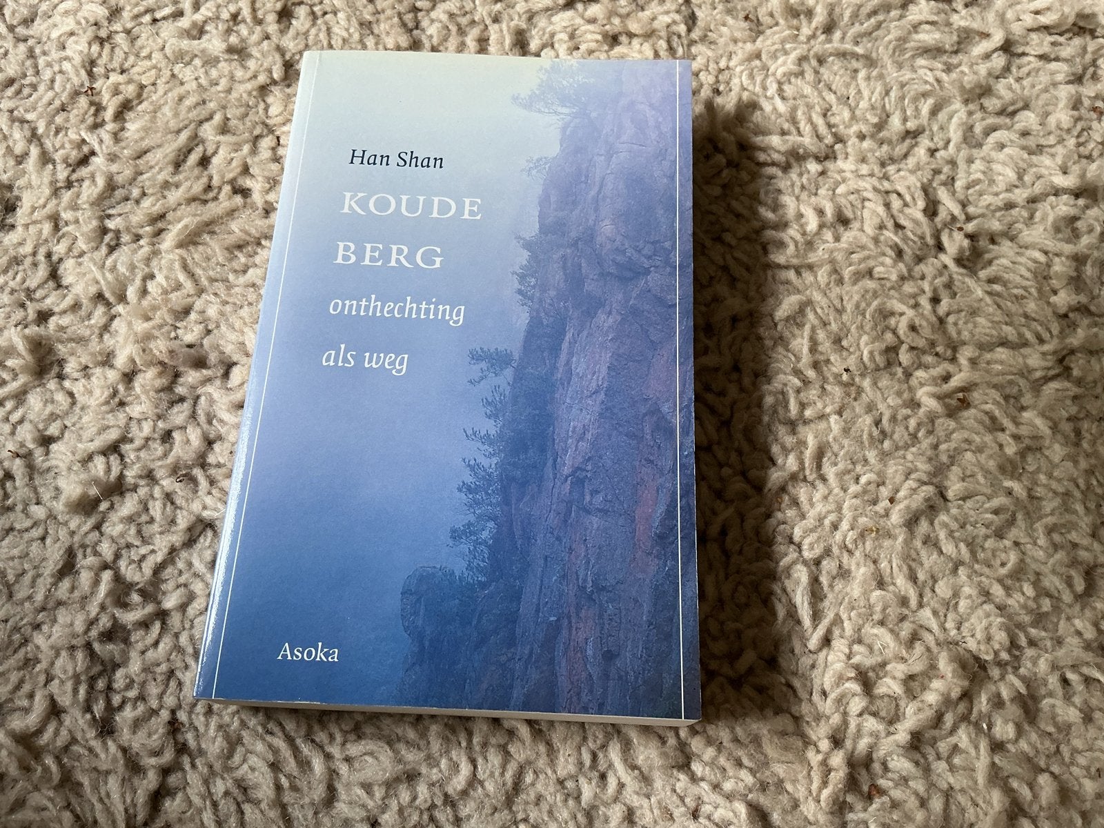 Koude Berg: onthechting als weg - Han Shan (Asoka) giro 555, Ophalen of Verzenden, Nieuw, Spiritualiteit algemeen, Verhaal of Roman