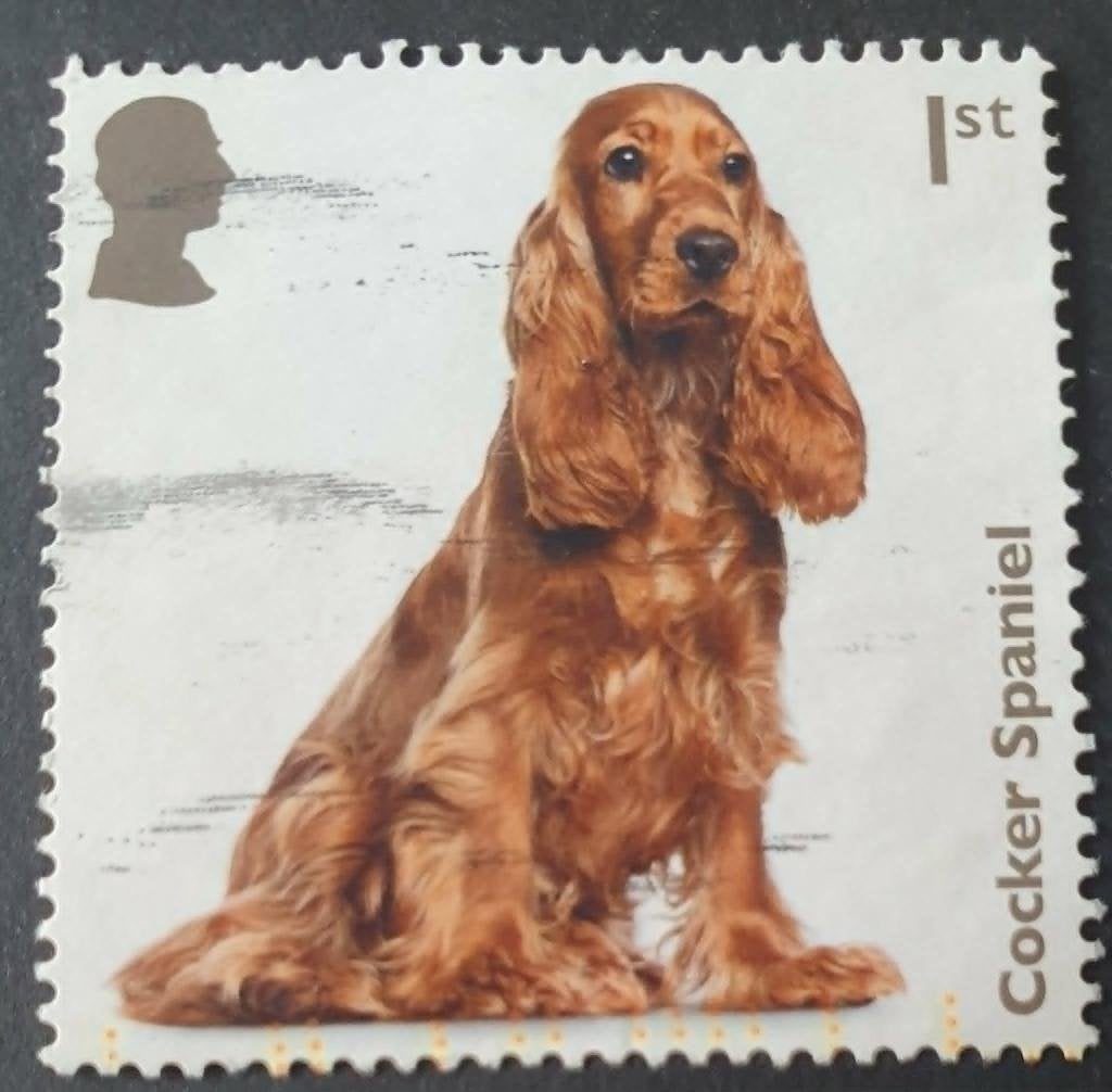 237-26 Engeland / Cocker Spaniel, Verzenden, Gestempeld