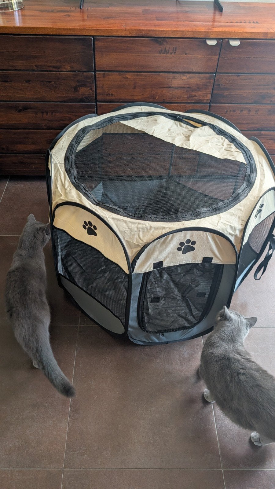 Katten kleine hond bench met gratis kitten pup bandjes, Dieren en Toebehoren, Ophalen, Zo goed als nieuw, Polyester