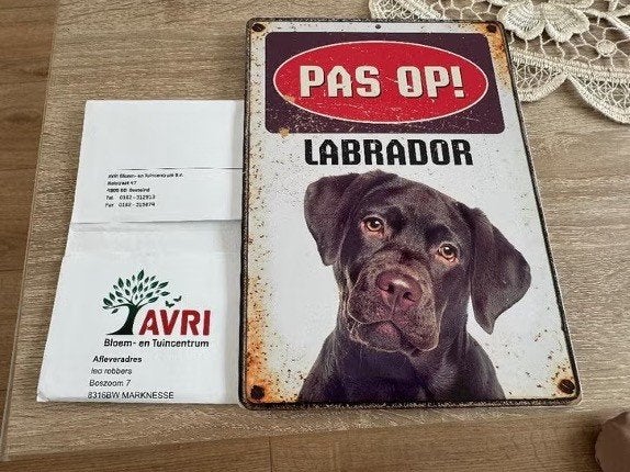 waakblik labrador nieuw  15X21 cm. bieden, Ophalen of Verzenden, Nieuw, Dier