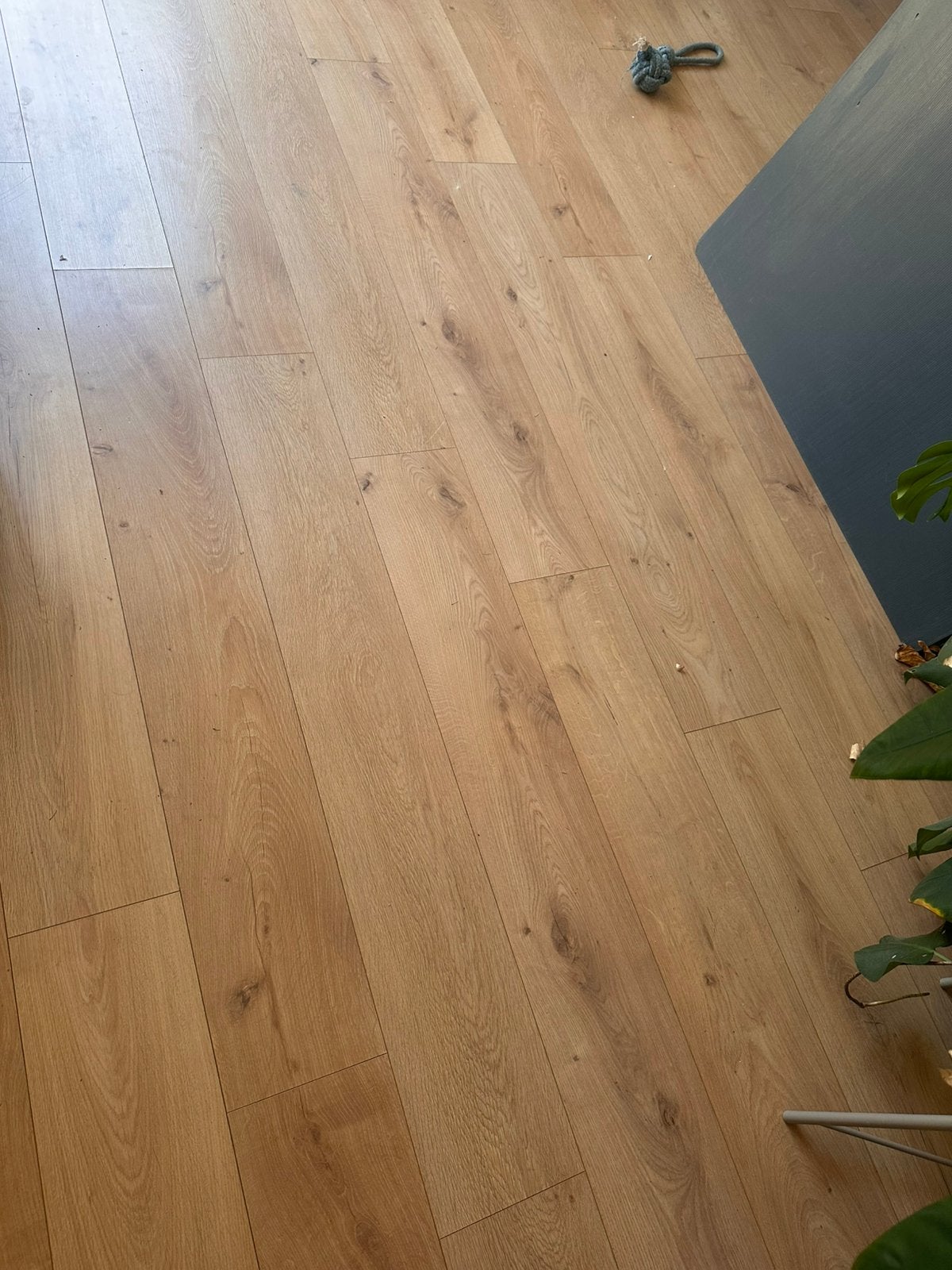 Laminaatvloer 50 m2, Ophalen of Verzenden, Zo goed als nieuw, Laminaat