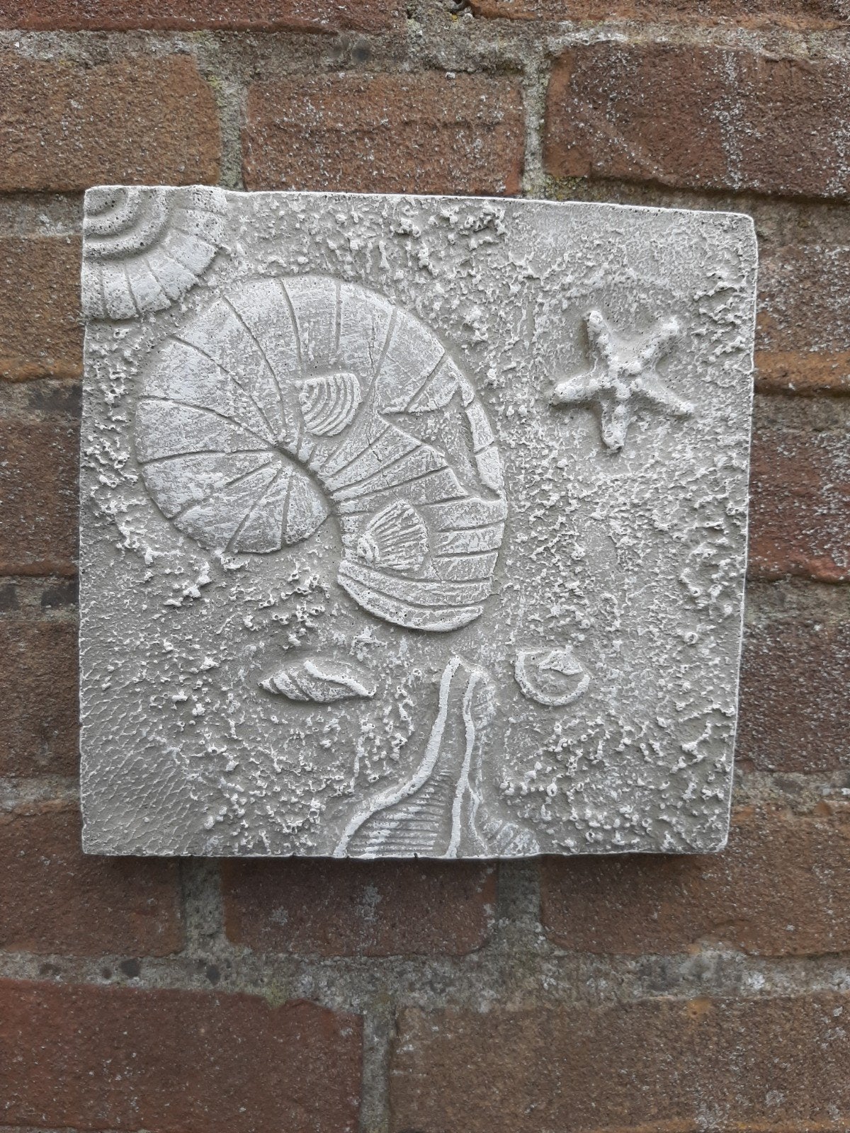 Strand schelp wanddecoratie betonnen beeld tuinbeeld beton, Ophalen of Verzenden