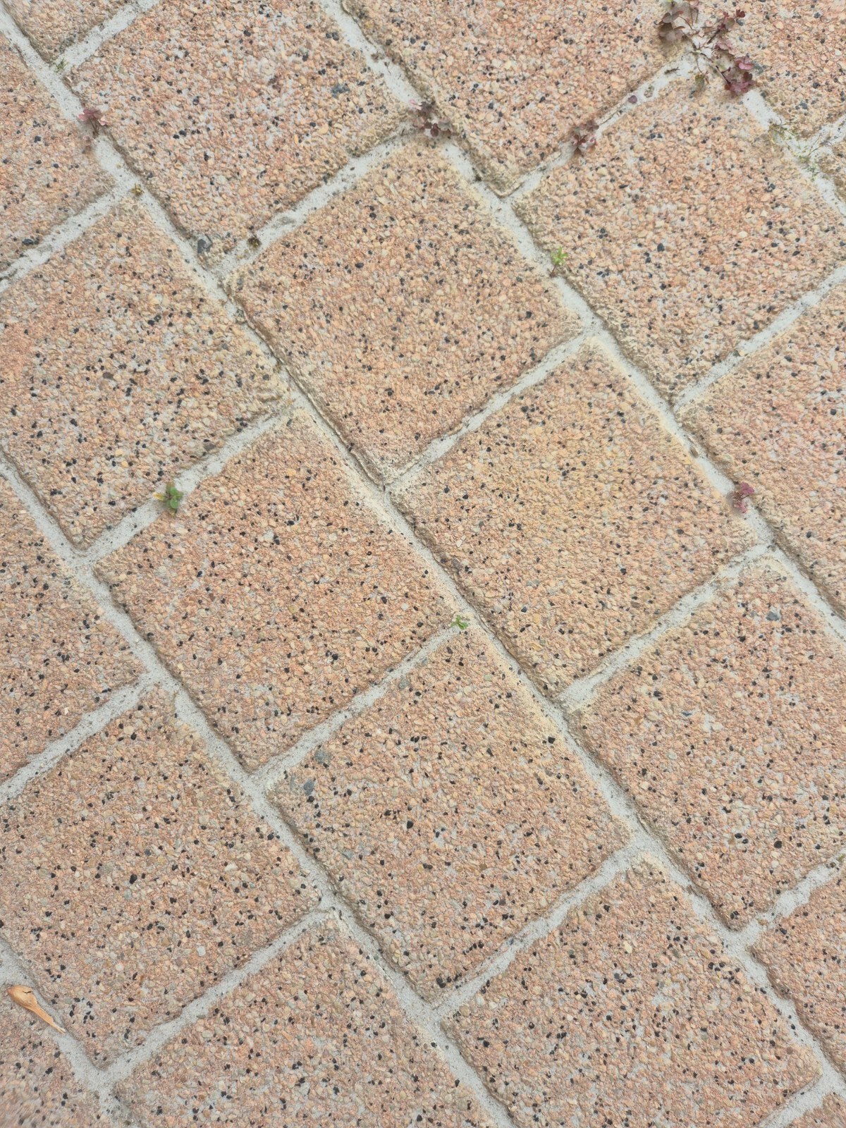 Gratis terrastegels, Tuin en Terras, Tegels en Klinkers, Ophalen, Gebruikt, Minder dan 5 m², Beton
