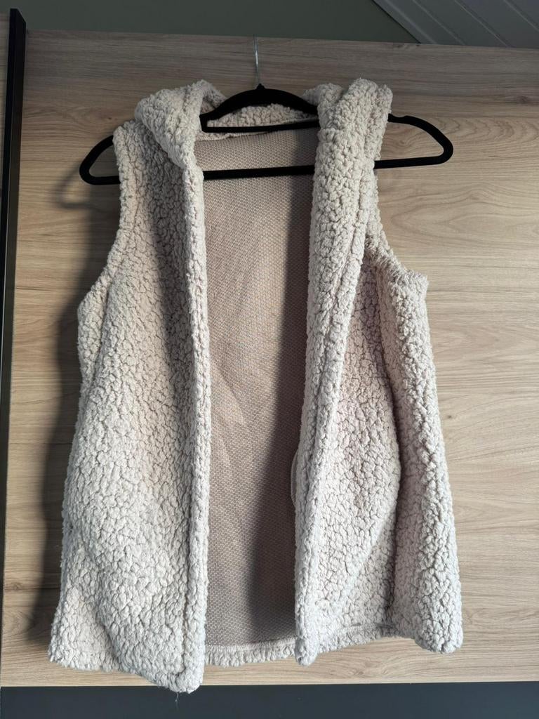 Teddy gilet, Kleding | Dames, Ophalen of Verzenden, Zo goed als nieuw, Maat 38/40 (M), Beige