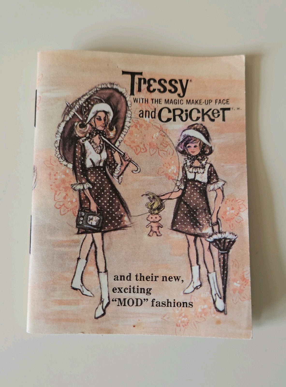 Boekje Tressy and Cricket 1966, Verzamelen, Poppen, Ophalen of Verzenden, Accessoires