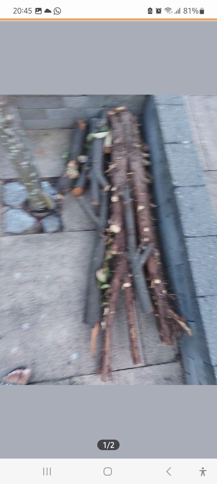 Brandhout/haardhout - diverse soorten, Tuin en Terras, Haardhout, Minder dan 3 m³, Ophalen of Verzenden, Overige houtsoorten, Stammen