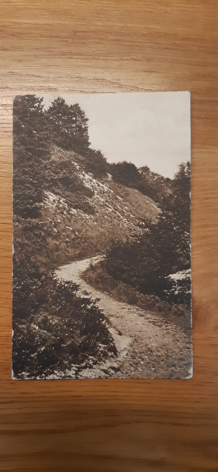 Bergen Schoorl  de klimberg, Ophalen of Verzenden, Voor 1920, Gelopen, Noord-Holland