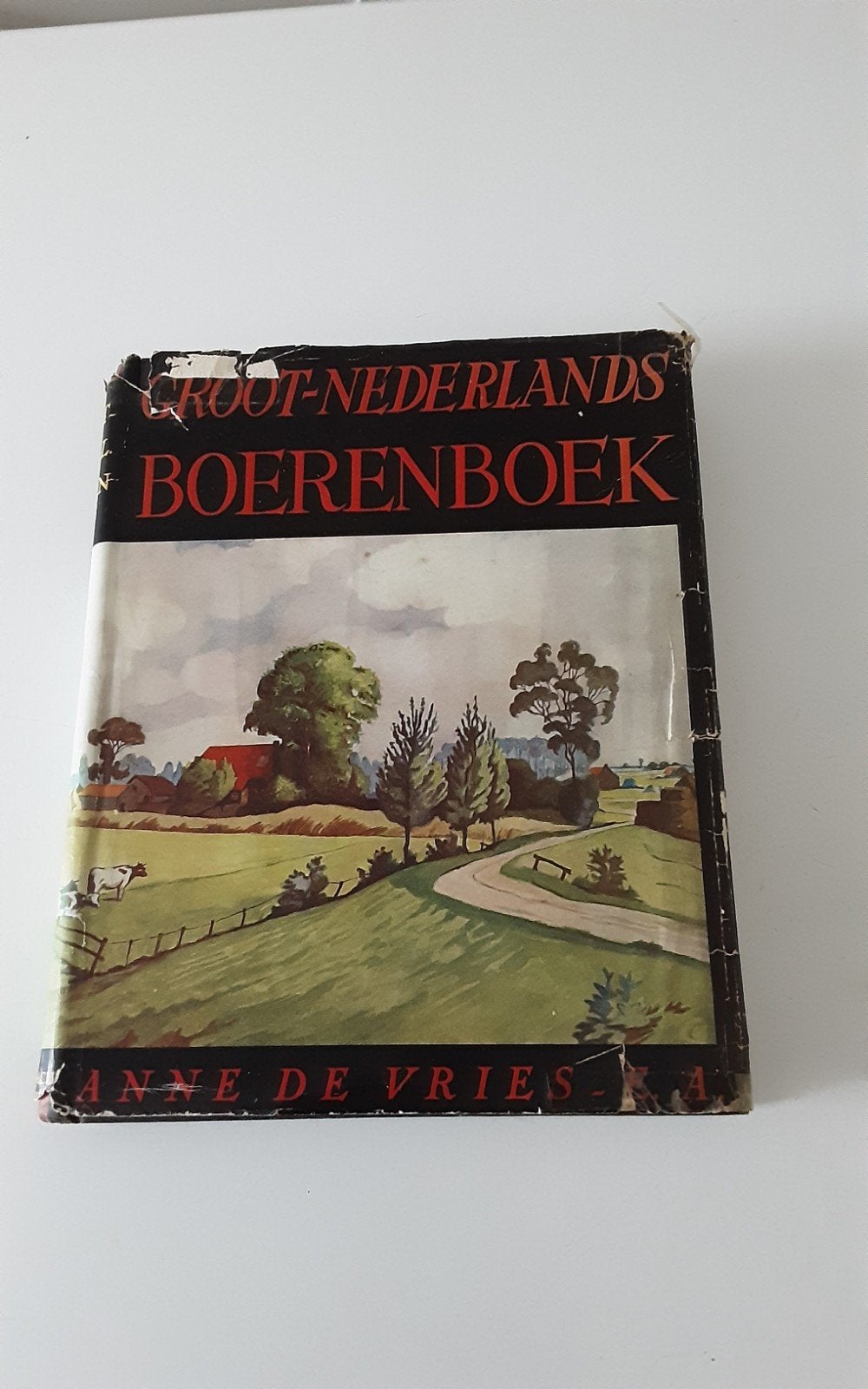 Groot-Nederlands Boerenboek - Anne de Vries, Ophalen of Verzenden, Gelezen, Anne de Vries, Nederland
