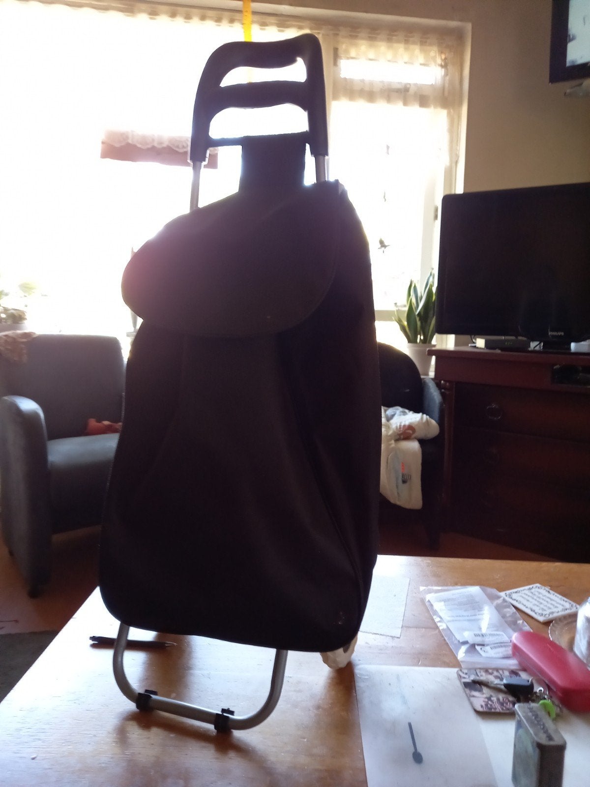 een boodschappen wagen, Ophalen of Verzenden, Nieuw, 30 cm of meer