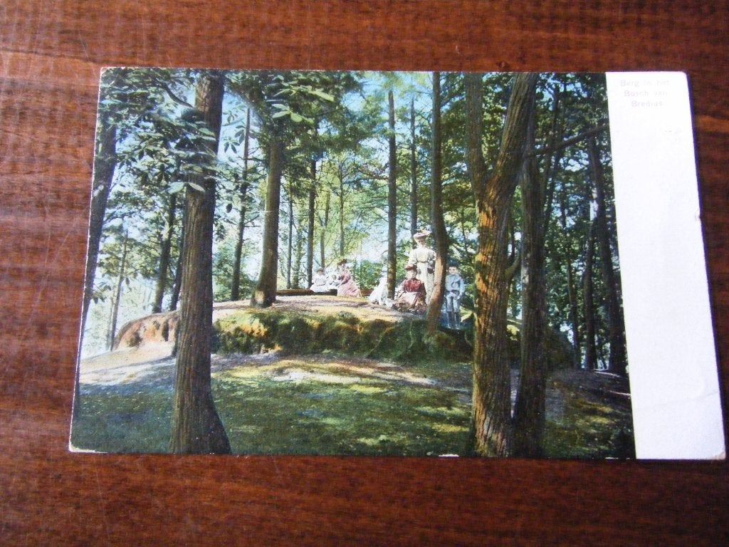 Y6 - Bussum - Berg in Bos van Bredius - 1905 - Mooi/Oud, Ophalen of Verzenden, Voor 1920, Noord-Holland