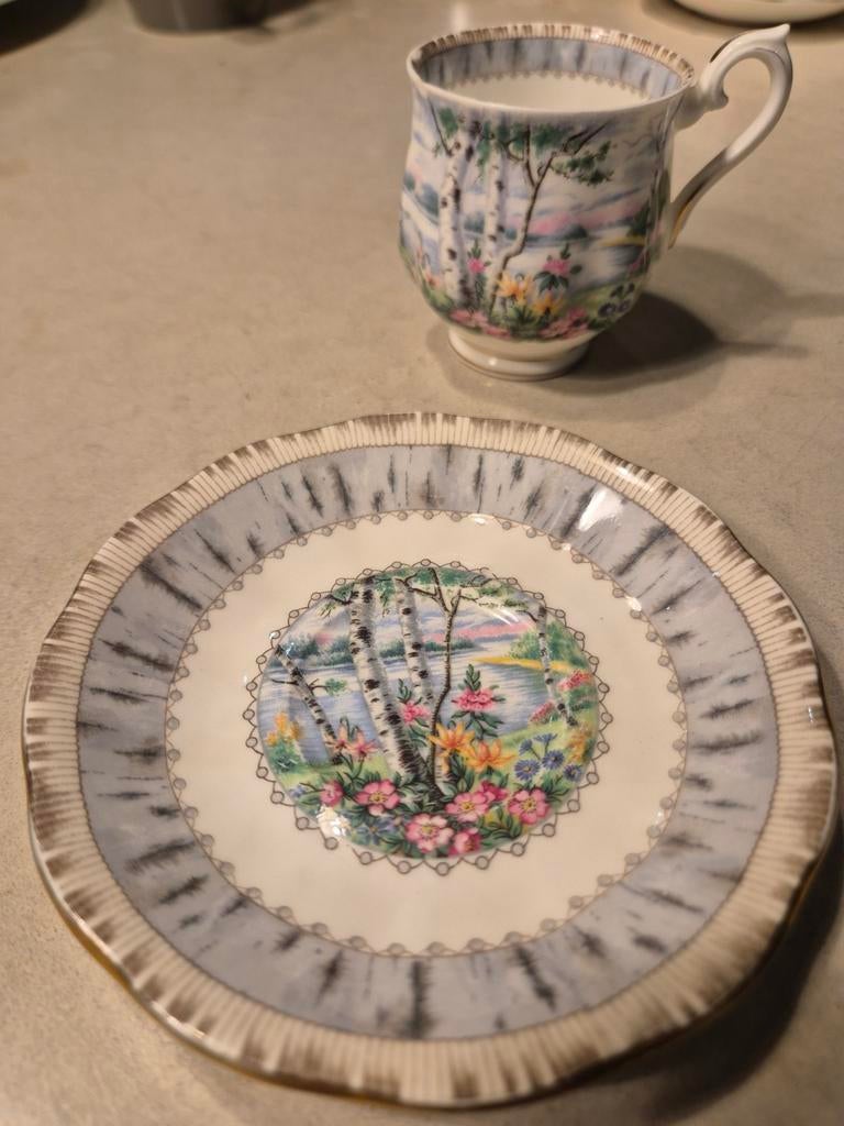 Royal Albert “Silver Birch” kop en schotel  vintage, Ophalen of Verzenden