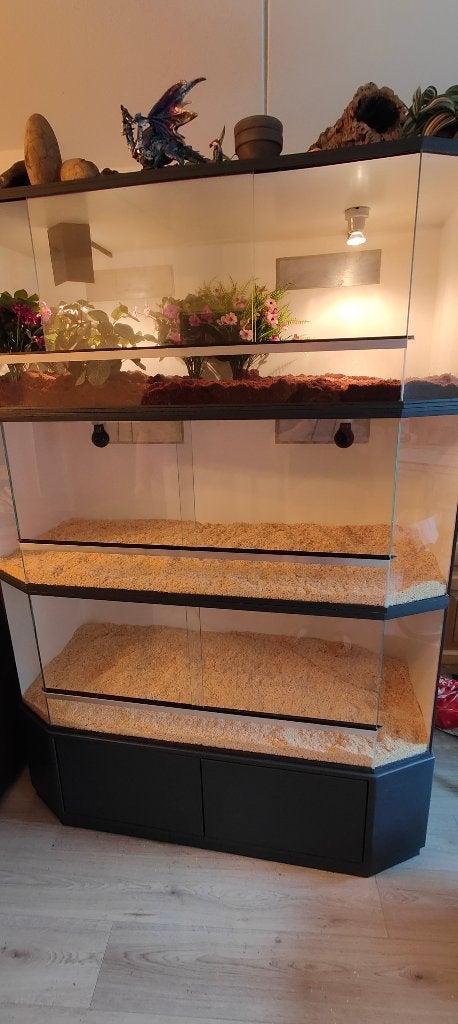 Terrarium stelling, Dieren en Toebehoren, Reptielen en Amfibieën | Toebehoren, Ophalen, Gebruikt, Terrarium of Paludarium