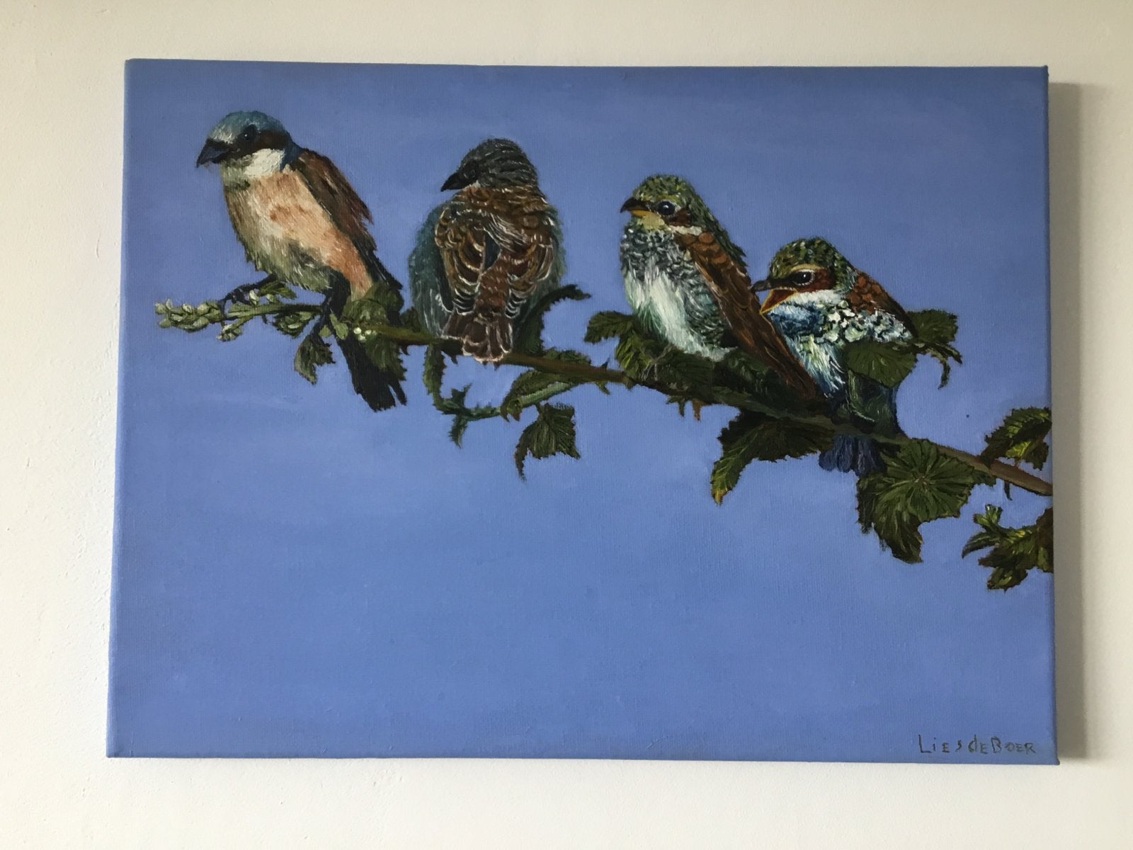 Olieverfschilderij 'Vier vogels op tak' - Lies de Boer, Antiek en Kunst, Kunst | Schilderijen | Klassiek, Doek, Realistisch, Dieren
