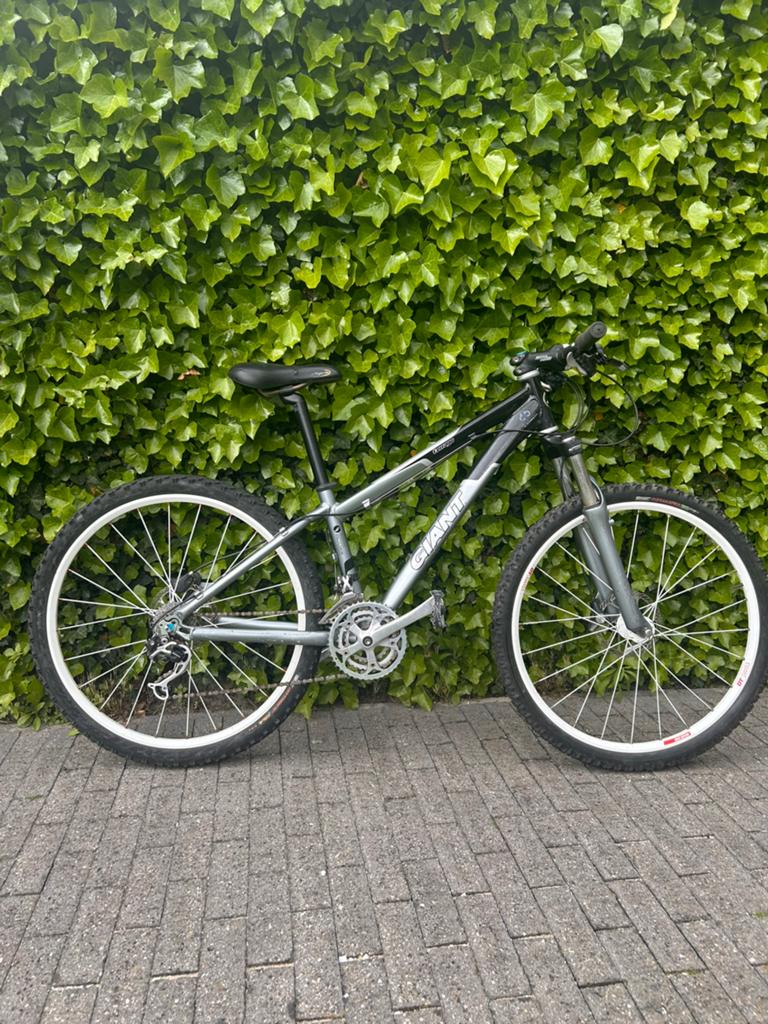 Giant Terrago XT 14” (36cm), Fietsen en Brommers, Fietsen | Mountainbikes en ATB, Gebruikt, Giant, Minder dan 45 cm, Hardtail