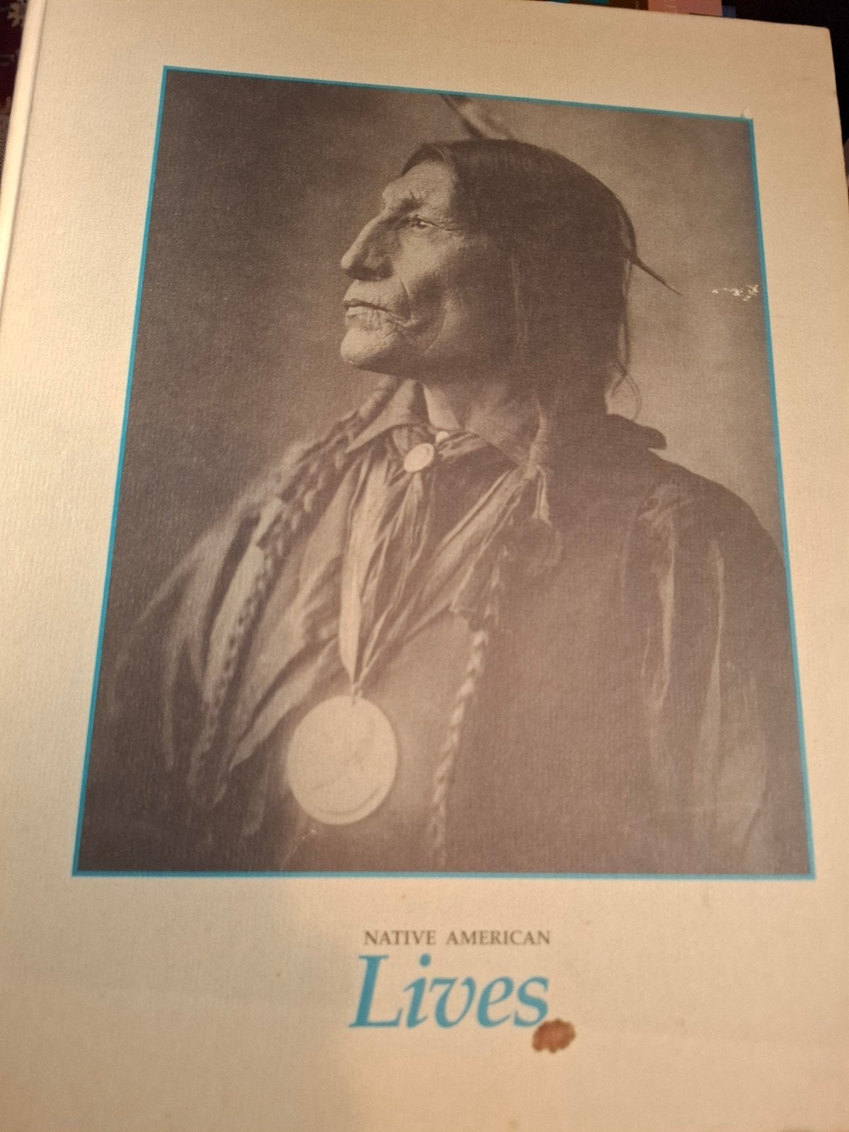 Native American Lives - Boek over inheemse volkeren, Boeken, Literatuur, Verzenden, Gelezen, Onbekend, Amerika