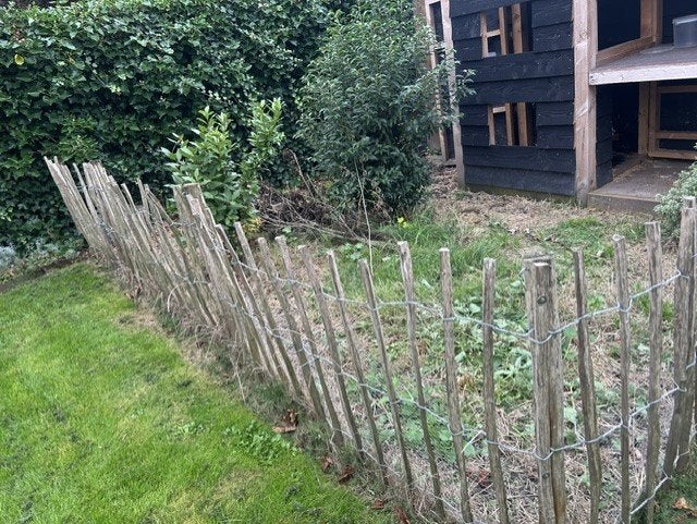 kastanjehout tuinhek 8 meter + deurtje – nog geen jaar oud, Ophalen, Met poort, Zo goed als nieuw, Tuinhek